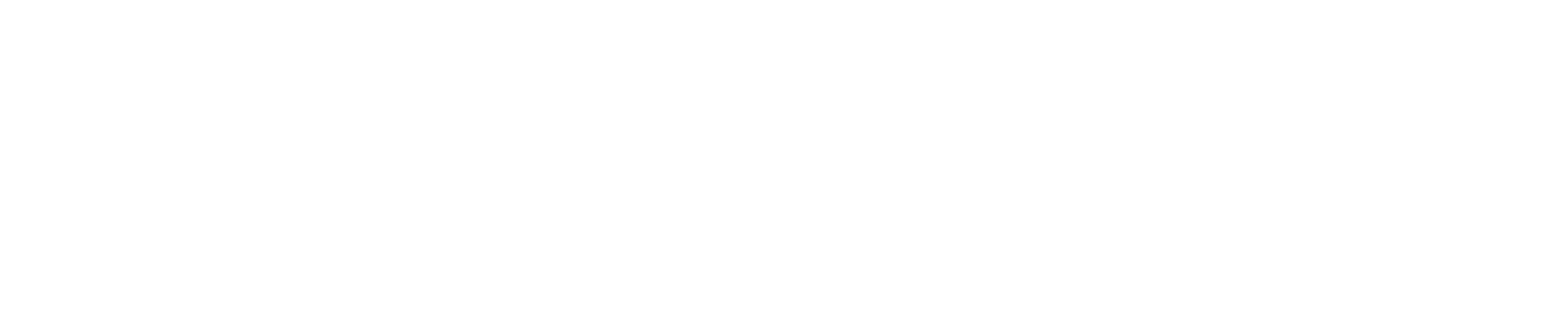 The Aleph Report
